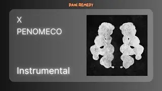 [INSTRUMENTAL] PENOMECO - X