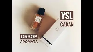 YSL: обзор аромата Caban
