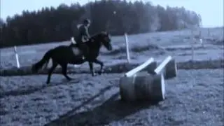Nordsvensk hoppar