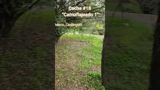 Nuevo cache espero lo disfrute #fotografia #geocaching #chapultepec #fypシ゚#naturaleza
