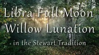 Wiccan Esbat - Willow / Libra Full Moon