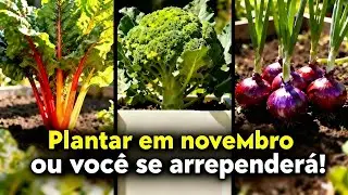 7 Culturas Chocantemente Produtivas Que Você Precisa Plantar em Novembro Antes Que O Tempo Acabe!
