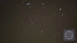 Night Snowfall ASMR ❄️ Relaxing Snow Sounds for Sleep & Stress Relief