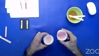 Experiential Learning Session on Acids and Bases - CBSE/NCERT Syllabus