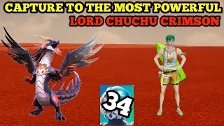 Lord Chichu Crimson Finally Captured! 💥 | Auroria Gameplay Ep 34