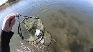 Елец нахлыстом на Ангаре на мушку связанную на реке