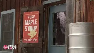Big Y Local Love - Blue Heron Farm Maple Syrup in Charlemont, MA