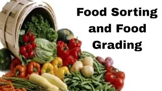 Difference between Food Sorting and Food Grading - Post harvest technology #postharvest #foodscience