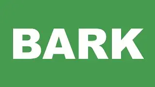 BARK RIB СПУСК НА ВОДУ