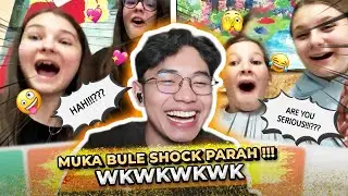 BALIK LAGI BUAT BULE BULE SHOCCKKK WKWKWKWKK 
