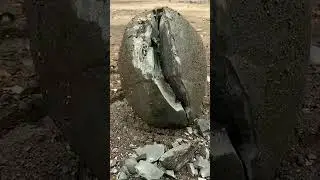 Обнаружили в одной из скал интересную находку, с виду напоминающую яйцо динозавра.