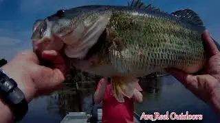 Spring Bass Fishing on Public Lake in Alabama 2018, Top Water Action!