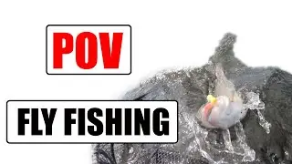 Fly Fishing in a Major Clubs Match POV #flyfishing #fishing #competition