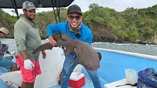 Pesca en Puntarenas, At&uacute;n, Bonitos y Tibur&oacute;n