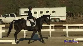 416D Sofia Baker on Severus JR Beginner Novice Dressage Galway Downs Oct. 2020