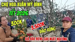 Chợ Hoa Tết Mỹ Đình- 300K Một Bó Đào Rẻ Như Cho, 300K Một Cây Quất Rẻ Nhất Chợ/ Khám Phá Tết Hà Nội