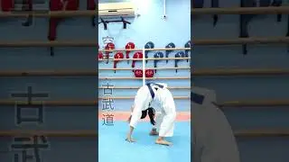 Somersault tutorial