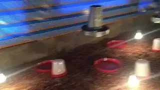 Preparing Brooding Room For 3,000 Chicks