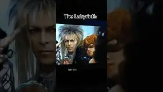 Jareth ❤️❤️❤️ #thelabyrinth #davidbowie #labyrinth #jareth #fantasy #movie #romantasy #bookish