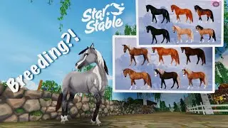 New 2023 updates! Breeding and new areas?! //SSO