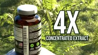 OmniBiotics Organic Milk Thistle &ndash; High Potency Liver Detox & Pure Daily Liver Support