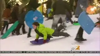 Sledding In Central Park