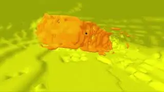 CaOH2 alone VIDEO