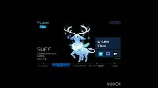 How to Buy Fluxx Box