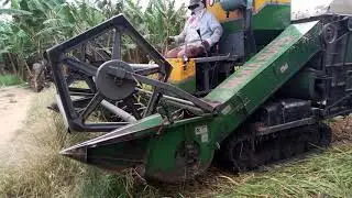 Daxia Rice  Havestor work