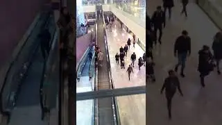 Kwart paris