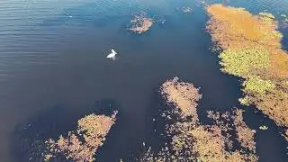 Pahala Talampola Wewa 🌿 | පහළ තලම්පොල වැව | Sri Lanka Drone Footage