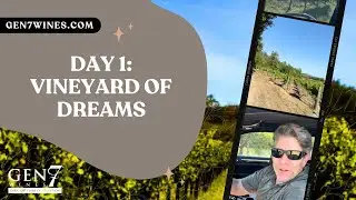 Day 1 Vineyard of Dreams
