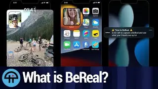 Is BeReal the Twitter of Old?