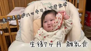 生後7ヶ月 離乳食 手を口の中に入れたりスタイを引っ張ったりして てんやわんやな夕飯
