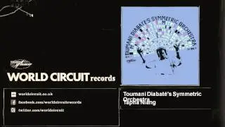 Toumani Diabat&eacute;'s Symmetric Orchestra - Tapha Niang