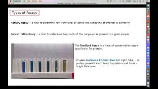Intro to Biotechnology - Chapter 6 - Part 2 - Protein Assays