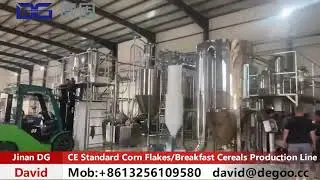 CE Standard Rice Flakes Grain Flakes Cereal Flakes Production Line Coreflex Machinery Working Video