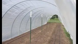 Another cold snap in 2025 challenges north central Florida farms