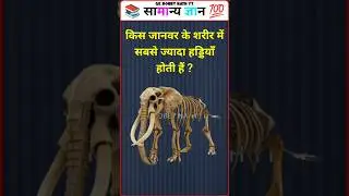 Top 20 GK Question🔥💯| GK in Hindi | GK Question and Answer #brgkstudy #gkinhindi #gk Part - 604