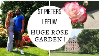 HUGE ROSE GARDEN at Coloma Castle - Sint Pieters Leeuw  - Visit Belgium #47/589