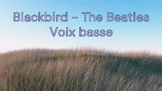 Blackbird - The Beatles - Voix basse