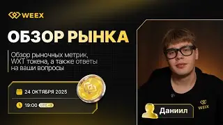 🎙️ Обзор рынка с WEEX: основные рыночные метрики и WXT | WEEX Community