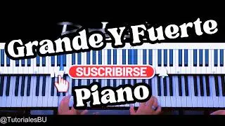 Grande Y Fuerte - Miel San Marcos - Piano 
