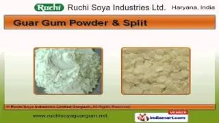 Guar Gum Products by Ruchi Soya Industries Limited Gurgaon, Gurgaon
