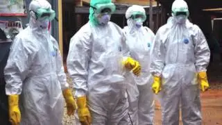 Ebola vs Bird Flu