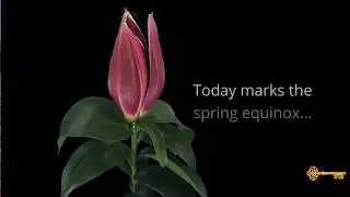 Happy First Day Of Spring! | 1752 Financial