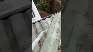 Gutter Pro Melbourne - Experts in Gutter Cleaning.