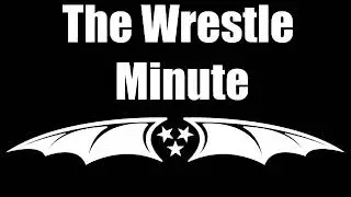The Wrestle Minute Elimination Chamber