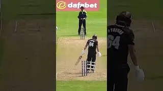 Cricket Pitch Length #shorts #cricket