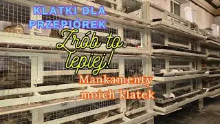 Klatki dla przepi&oacute;rek - moje błędy #hodowla #hobby #przepi&oacute;rki #rolnictwo #ptaki 